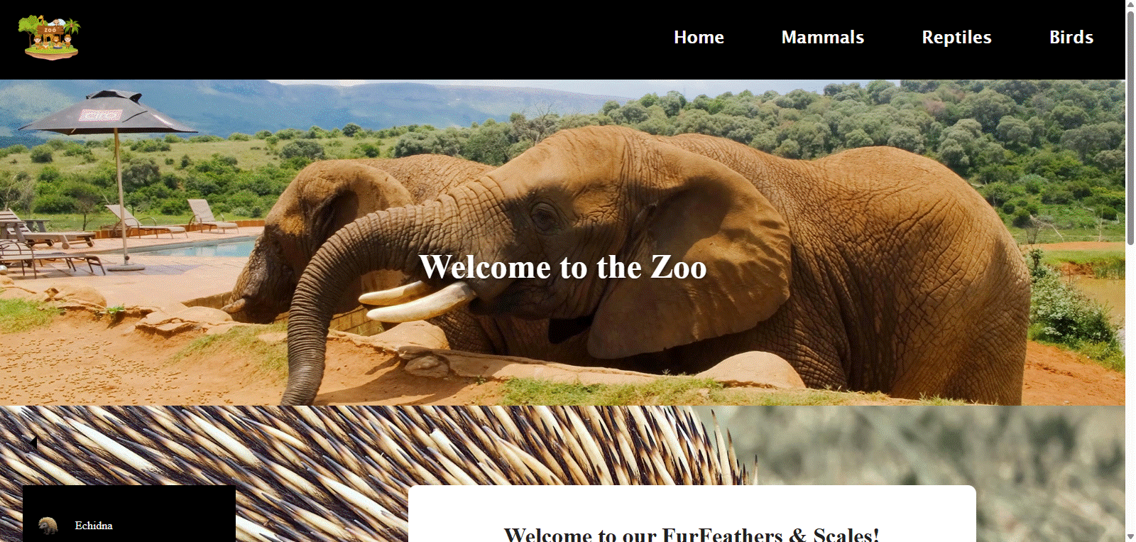 Zoo Project